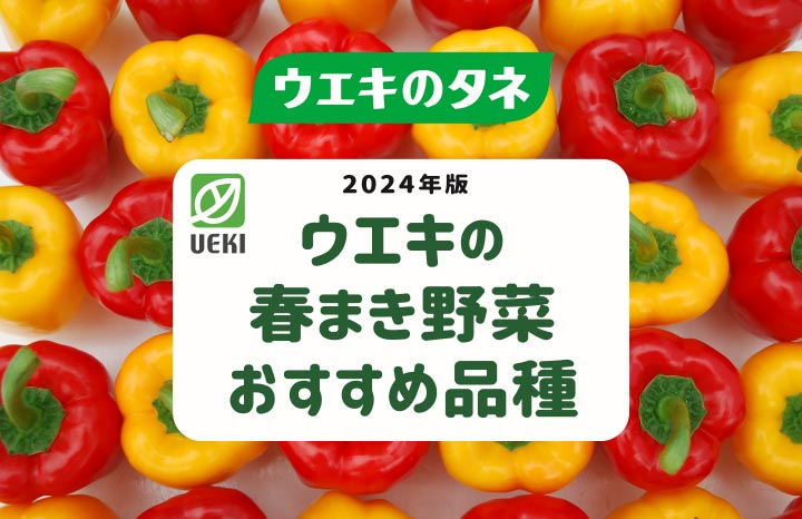 ウエキの春まき野菜おすすめ品種イメージ