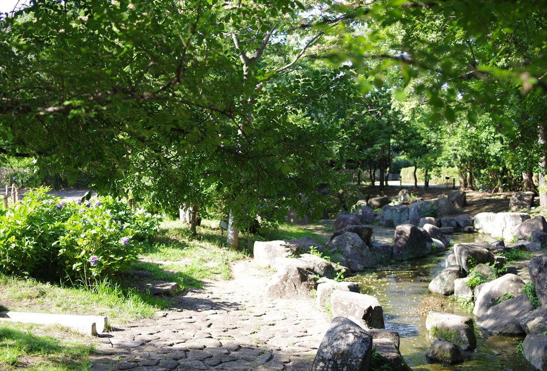 藤沢市長久保公園 都市緑化植物園・生物多様性センター