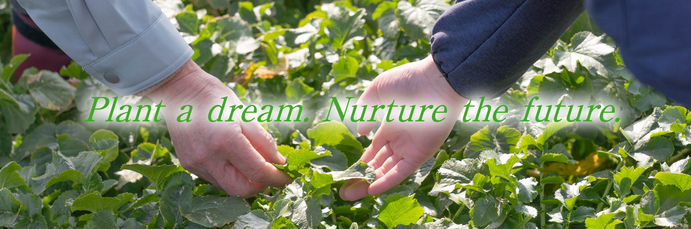 Plant a dream. Nurture the future.