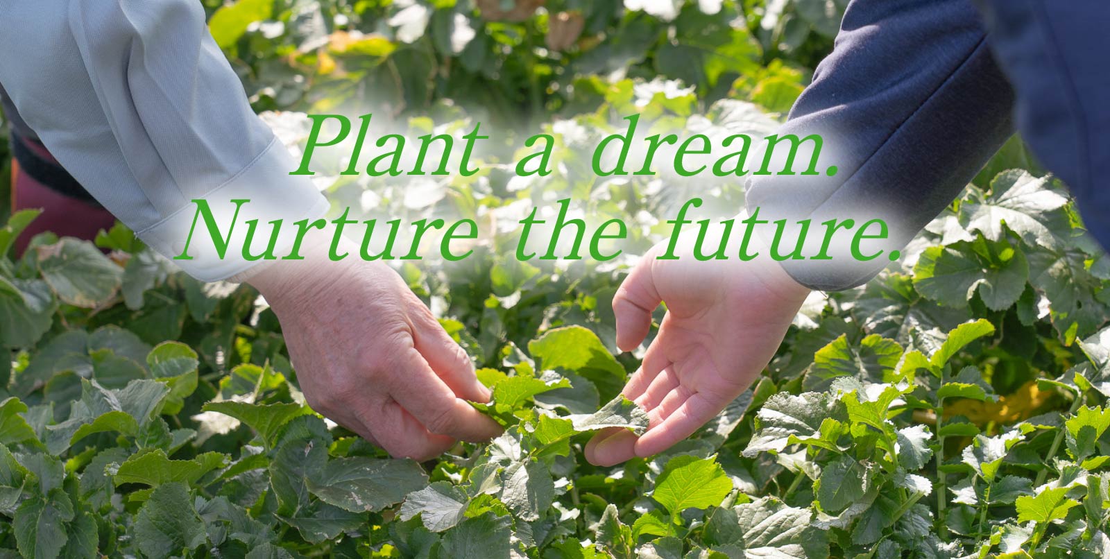 Plant a dream. Nurture the future.