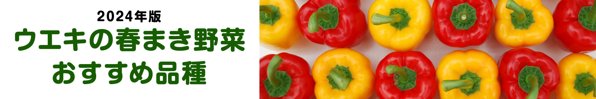 2024ウエキの春まき野菜おすすめ品種