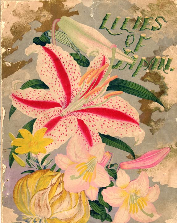 Lilies of Japan（海外向け商品カタログ）