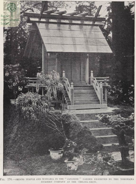 チェルシーフラワーショーに出展した神社と盆栽