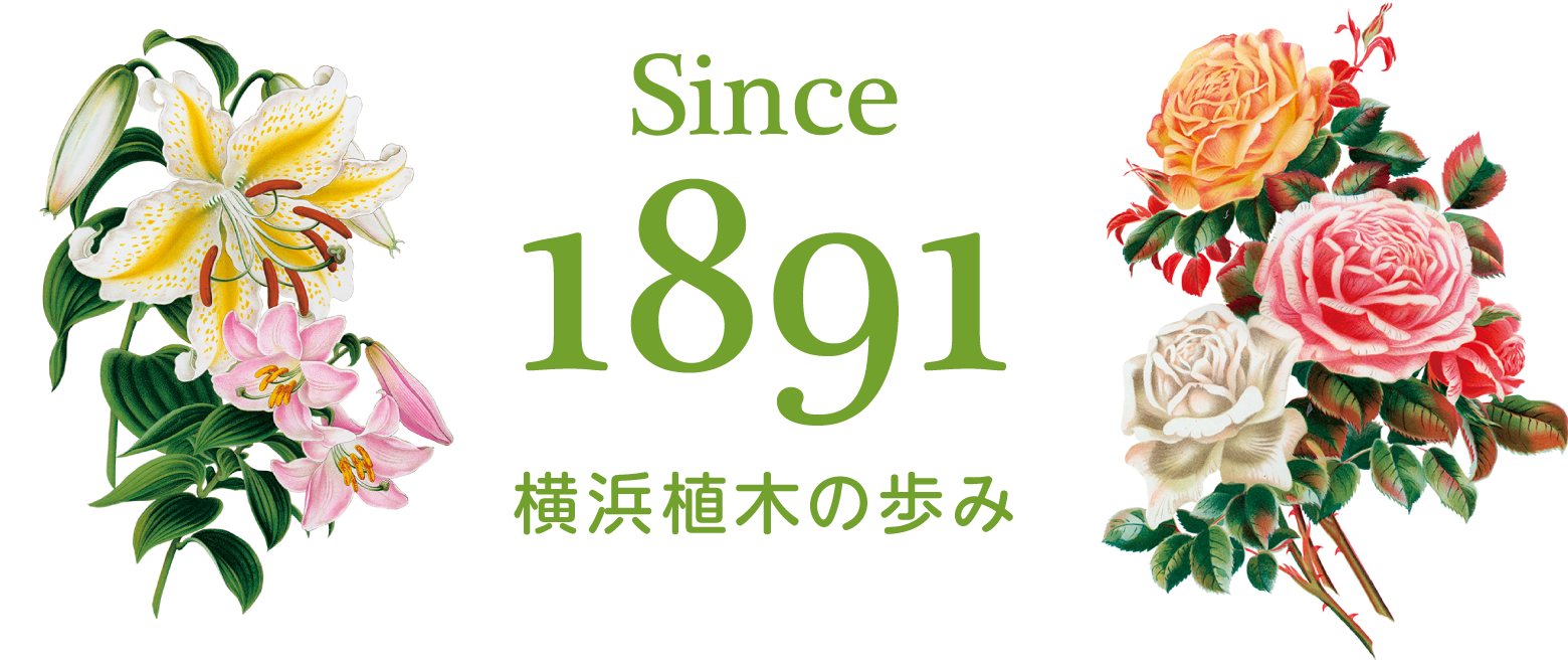 Since 1891横浜植木の歩み