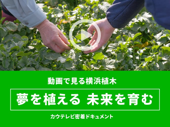 動画で見る横浜植木「夢を植える  未来を育む」カウテレビ密着ドキュメント