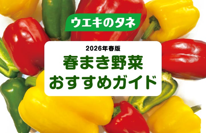 春まき野菜おすすめガイド