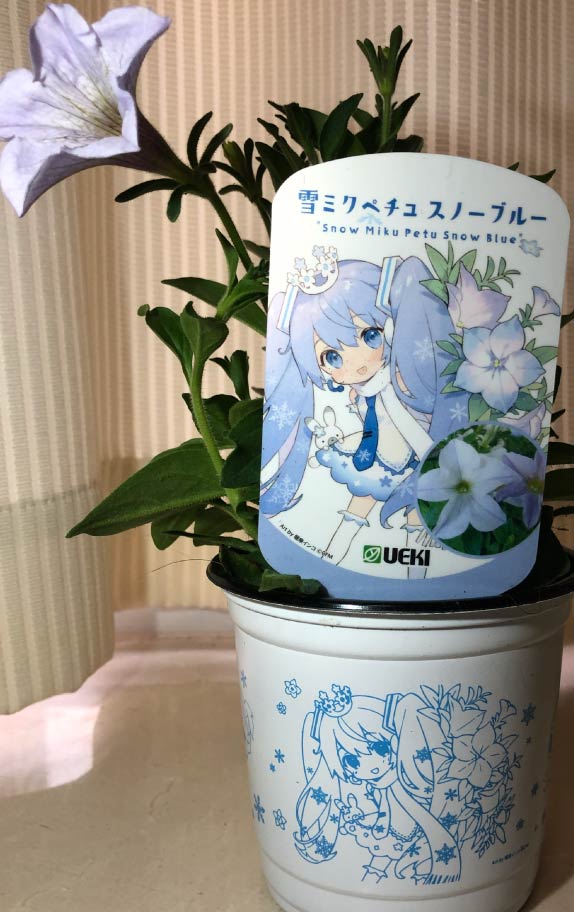 雪ミクペチュ