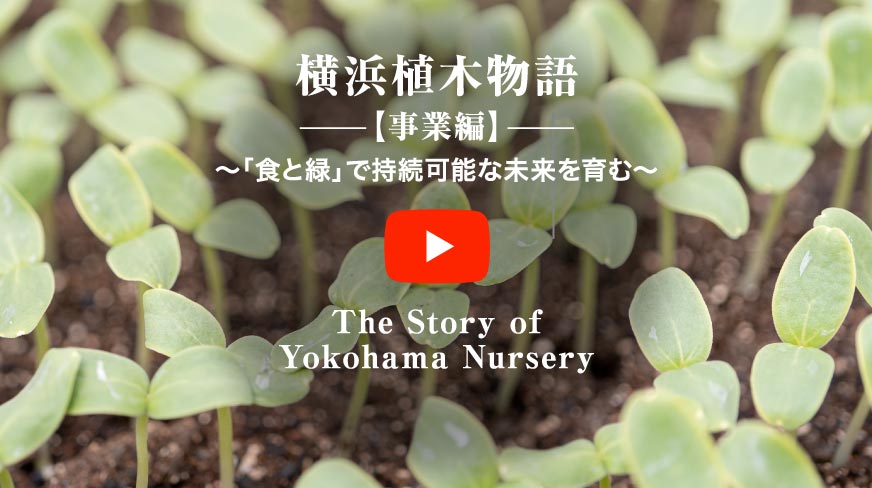 横浜植木物語横　【事業編】〜「食と緑」で持続可能な未来を育む〜