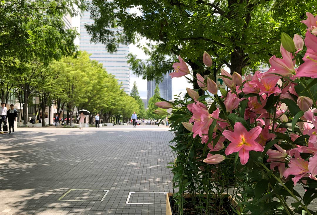 グランモール公園再整備工事