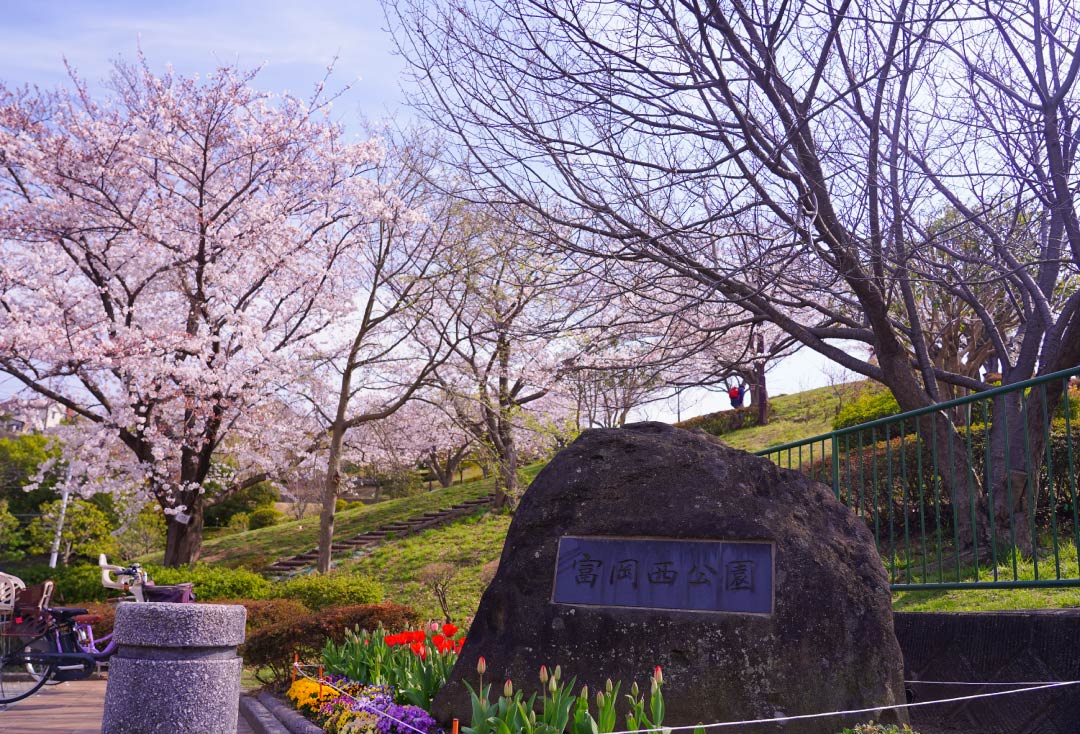 富岡西公園