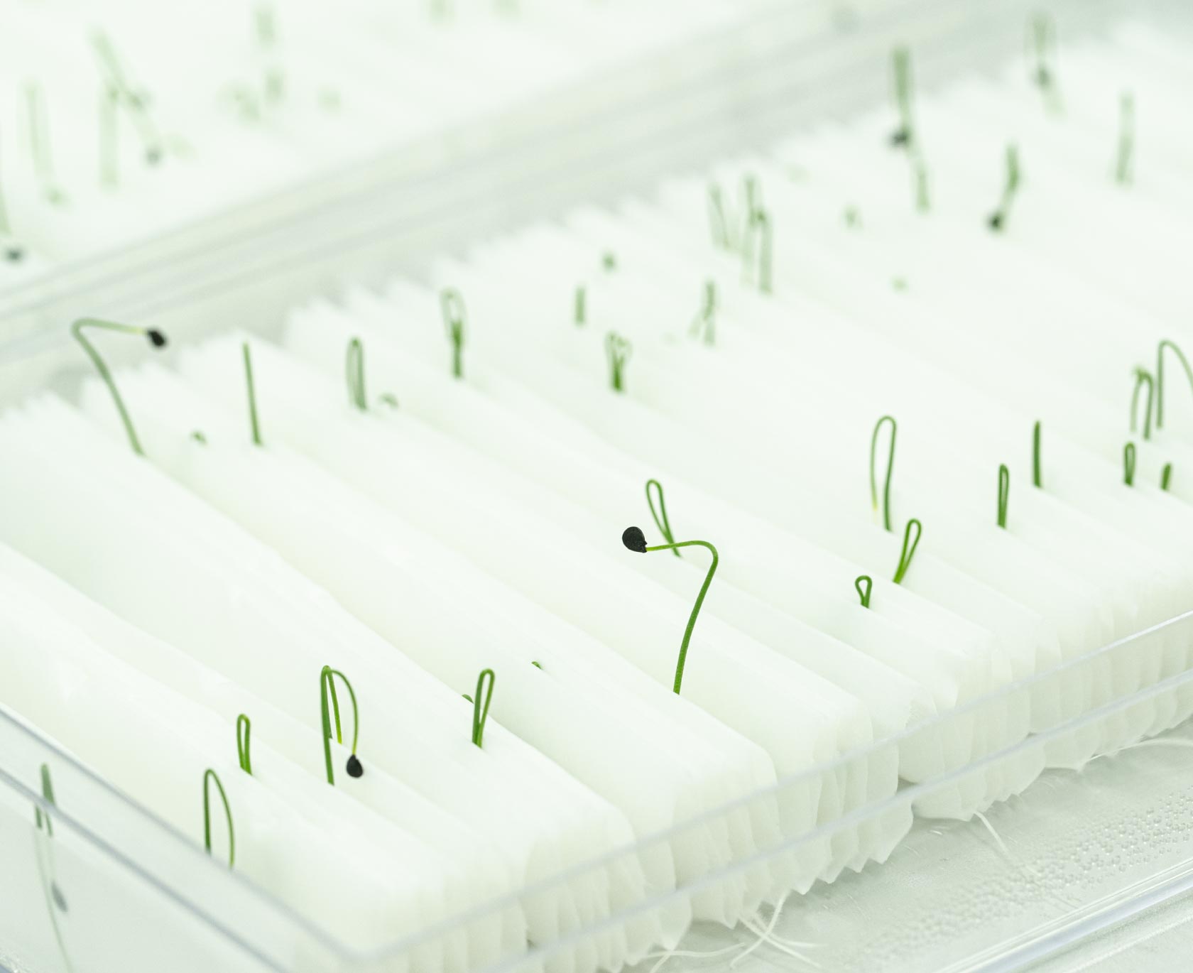 Product Management image