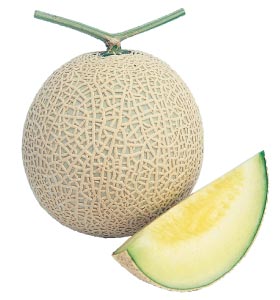 melon
