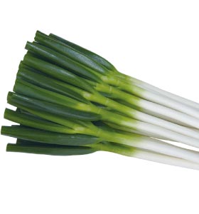 Japanese leek