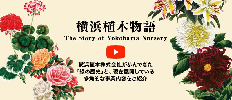 横浜植木物語横　浜植木株式会社が歩んできた「緑の歴史」と、現在展開している多角的な事業内容をご紹介