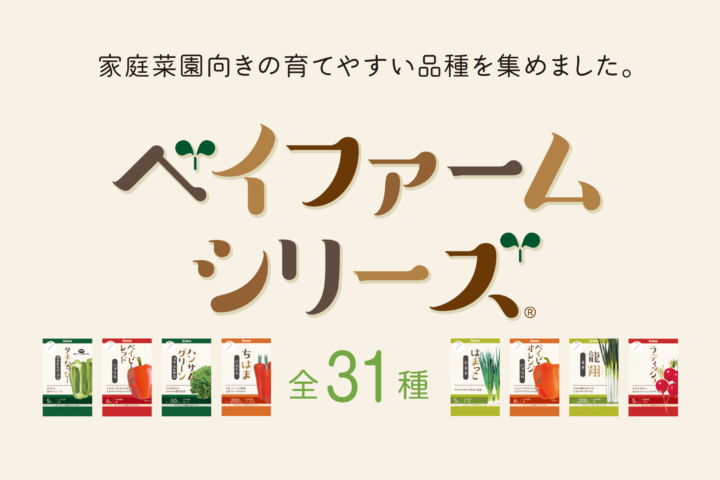 ベイファームシリーズ