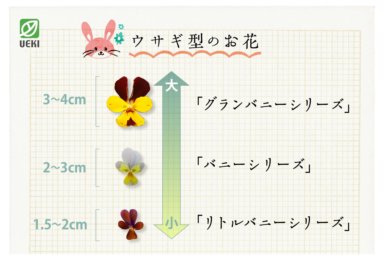 ウサギ型のお花
グランバニーシリーズ
バニーシリーズ
リトルバニーシリーズ