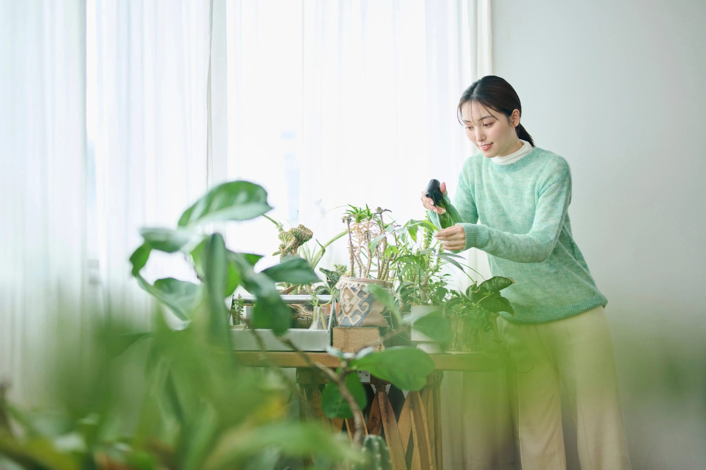 観葉植物を育てる前に知っておきたい基本ガイド