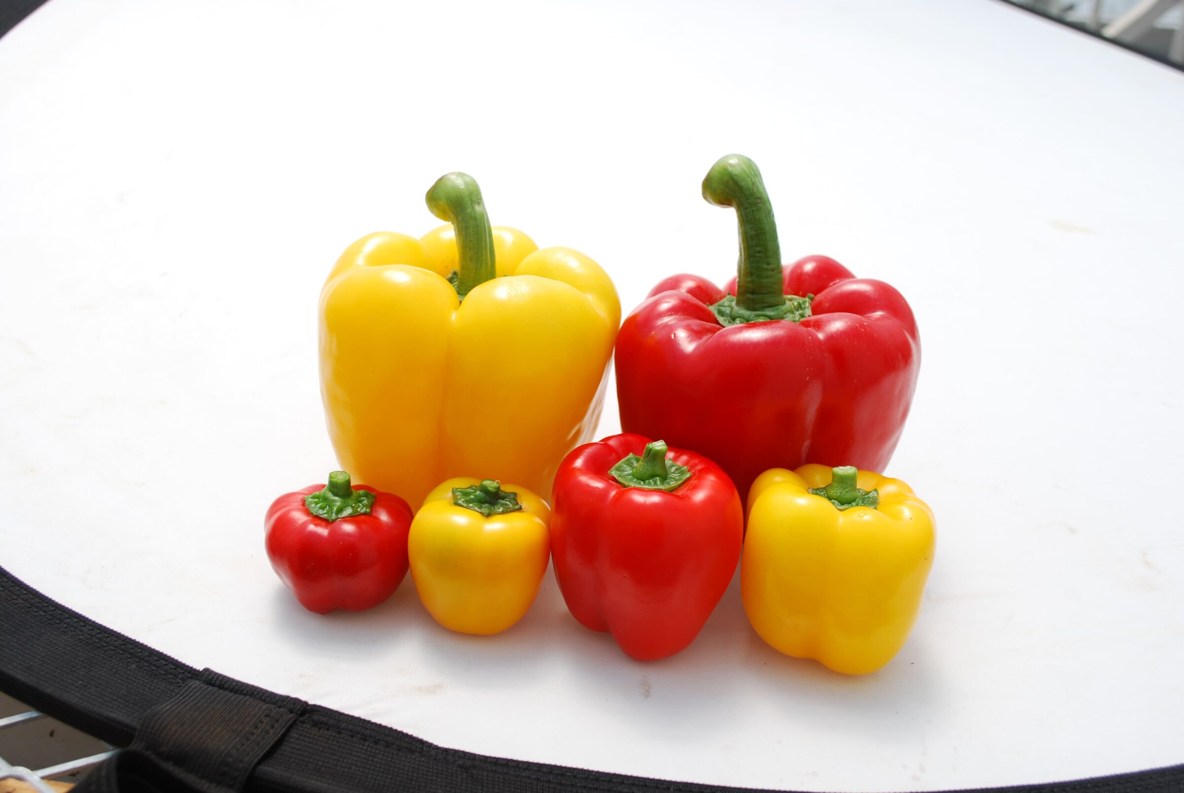 赤と黄色の6つのパプリカ