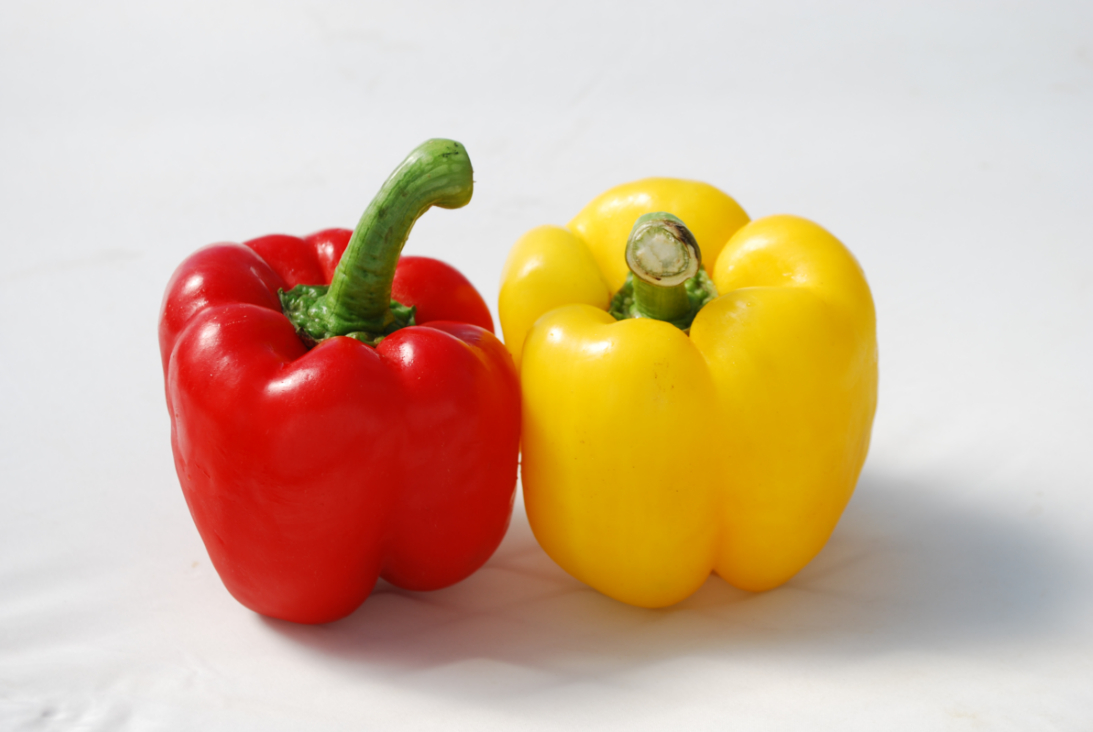 横浜植木が販売しているウエキ交配パプリカ