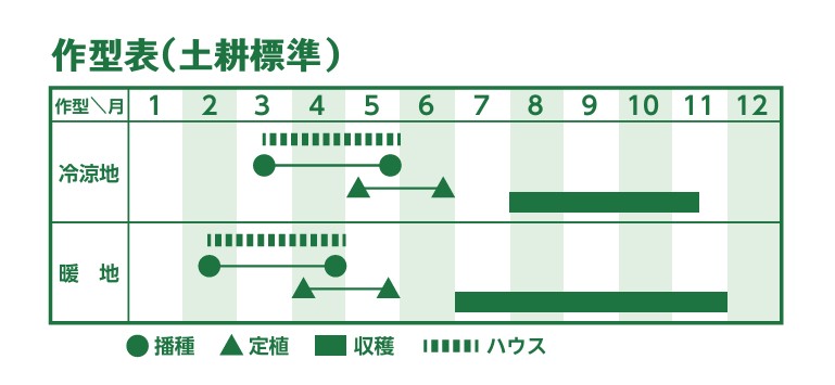 横浜植木によるパプリカの作型表