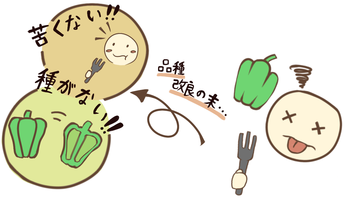 【連載】横浜植木株式会社 – 社長インタビュー第3回