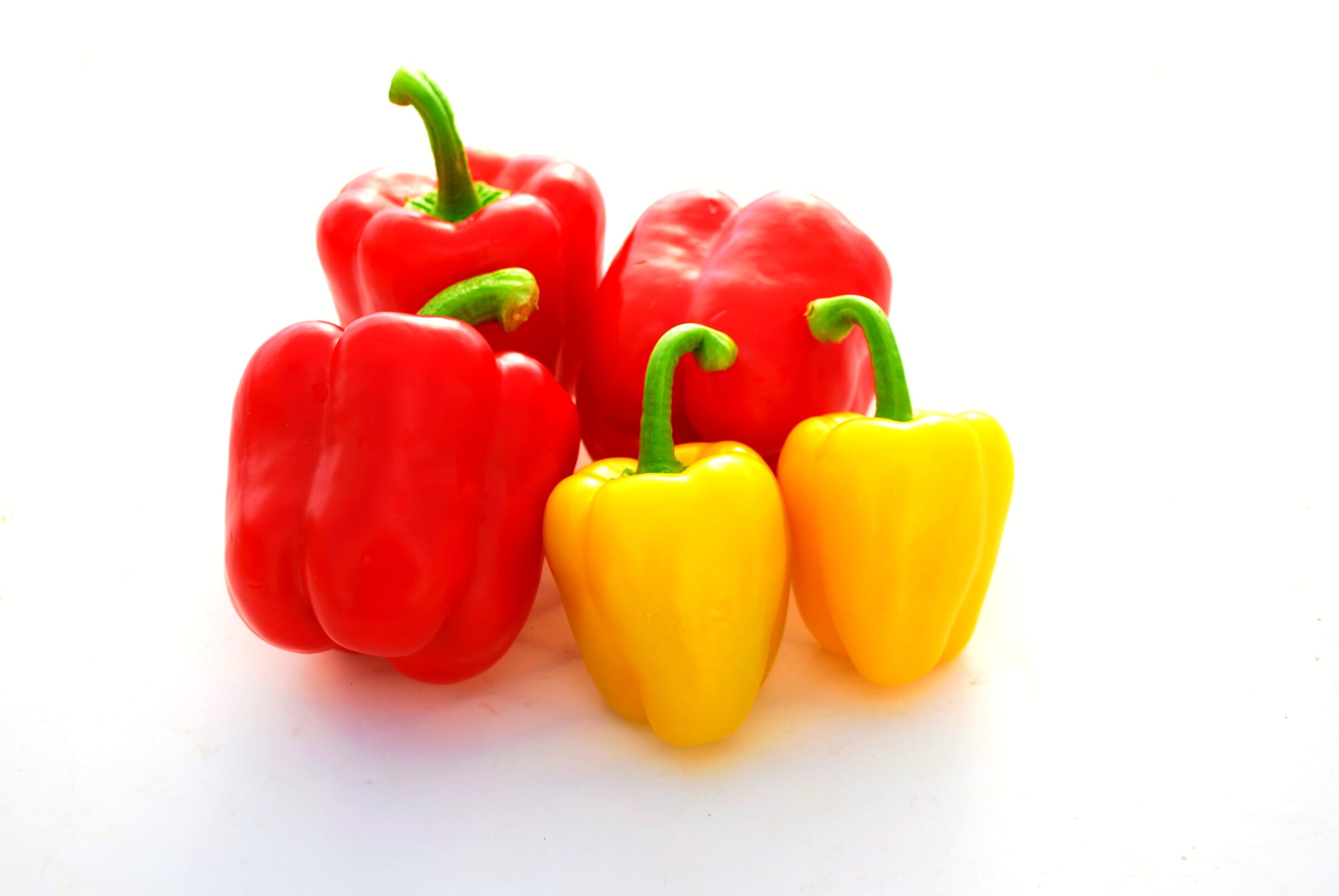 【家庭菜園入門】パプリカの育て方|栽培手順や注意点を解説