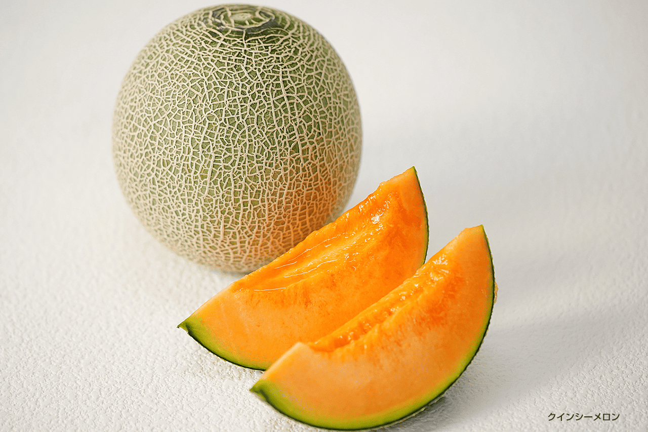 家庭菜園でのメロンの育て方|栽培を成功させるコツや病害虫対策を解説