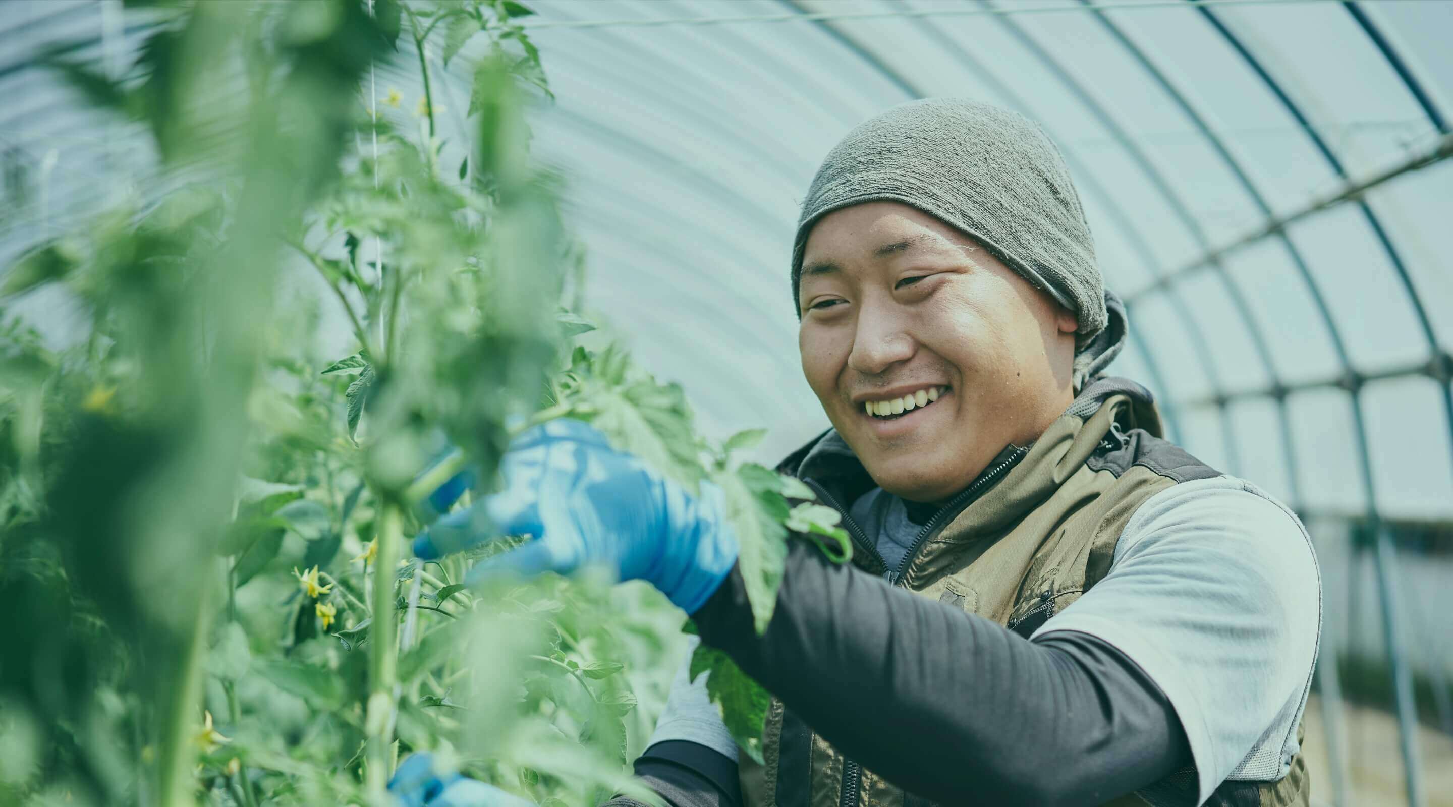 野菜の全力を引き出す、メイクアップ