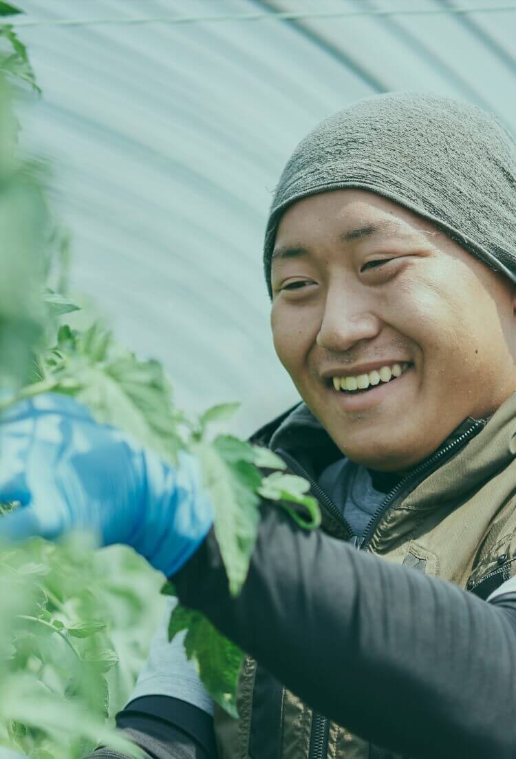 野菜の全力を引き出す、メイクアップ