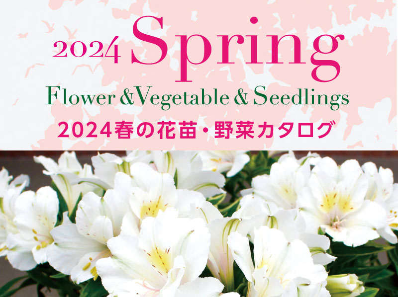 2024春の花苗・野菜カタログ