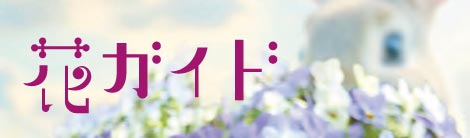 2026年秋版 花ガイド