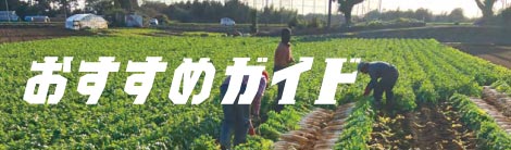 2026年秋まき野菜おすすめガイド