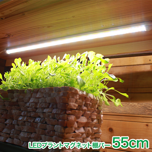 【植物用育成LEDライト】棚バー 1本点灯セット【送料無料】