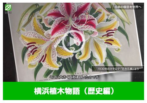横浜植木物語（歴史編）