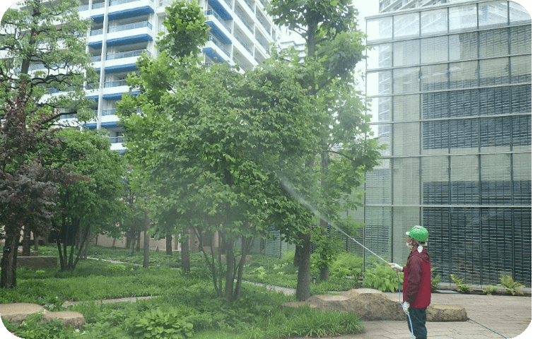 植栽管理作業