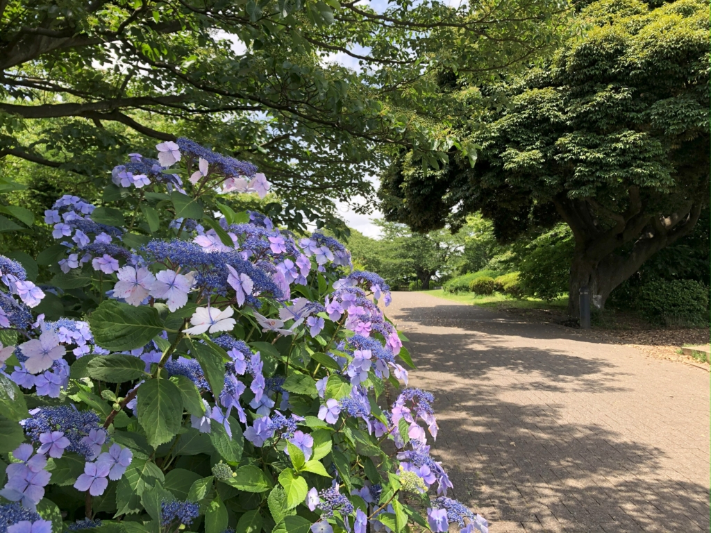 本牧山頂公園(横浜市)