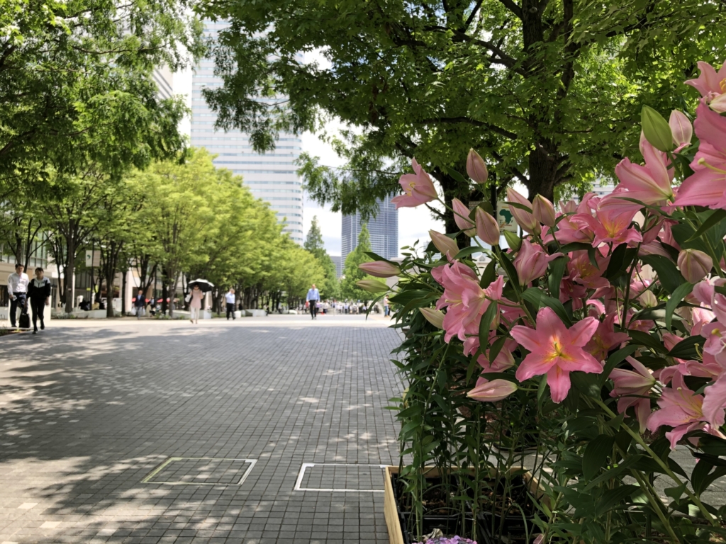 グランモール公園（横浜市）