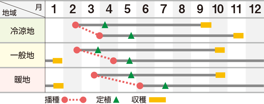 華青楼（かせいろう）2号