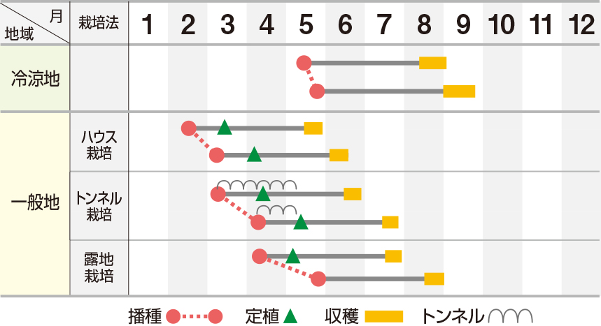 白老早生