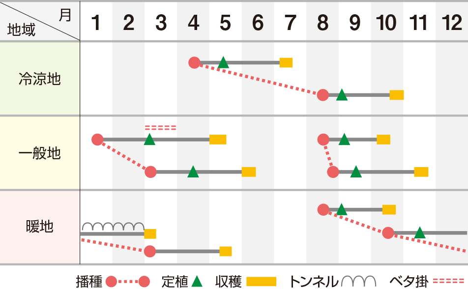 ハンサムグリーン