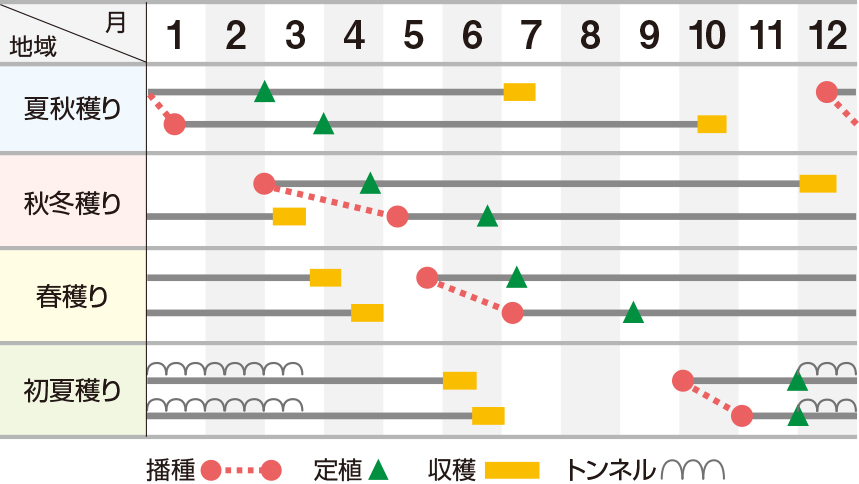 龍（たつ）ひかり２号