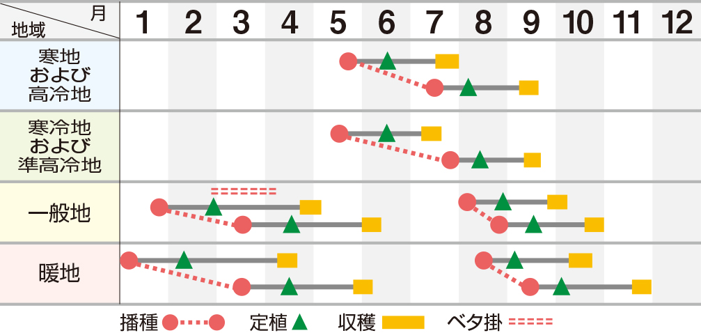 ハリウッド