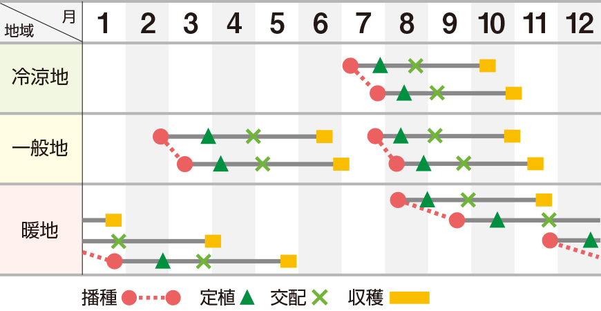 妃秋冬系