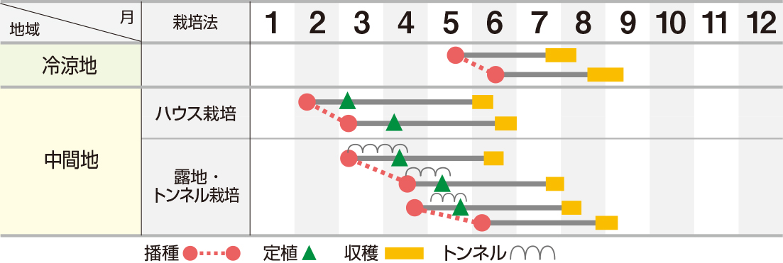 おすすめ