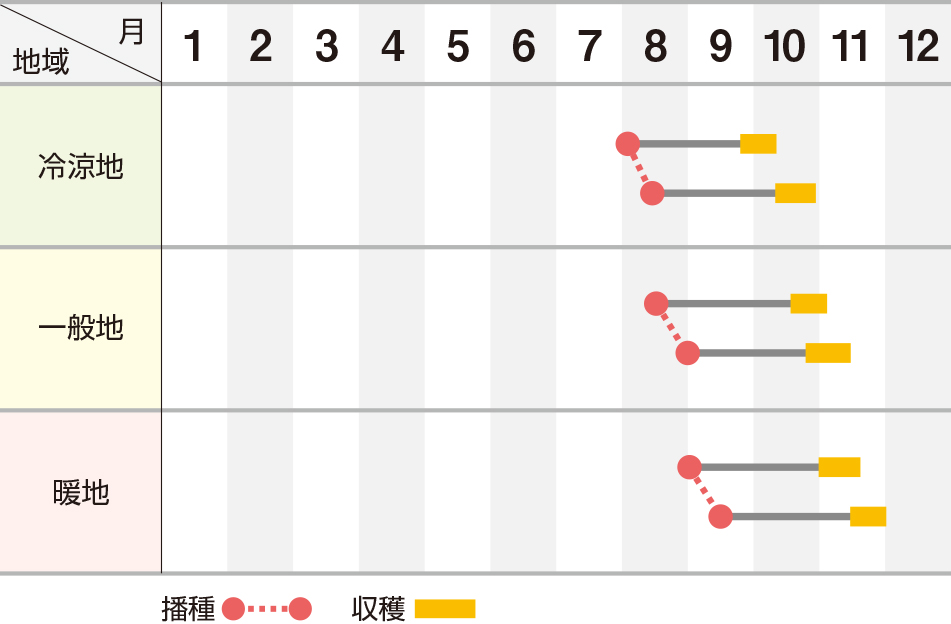 武虎（たけとら）