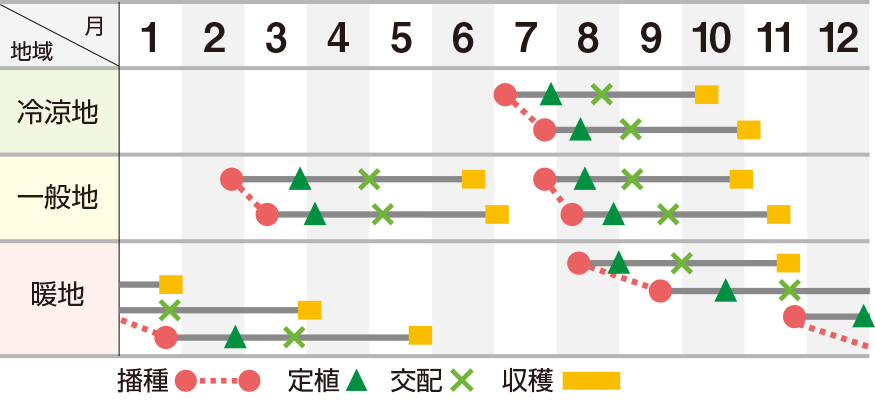 雅秋冬４１２（UA－４１２）