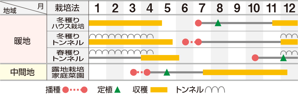 改良ＵＳパラマウント