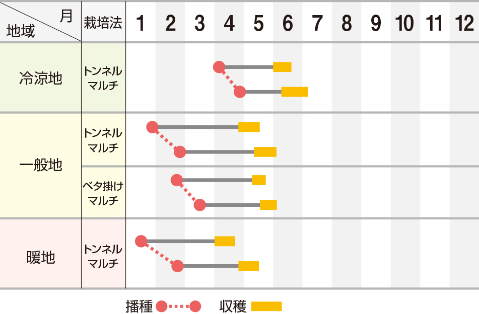 春のしらべ