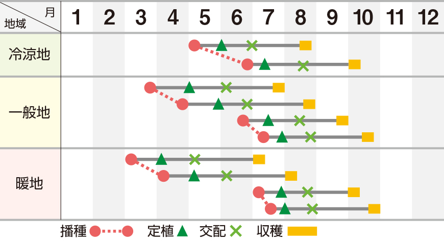 雅夏２０６（ＵＡ－２０６）