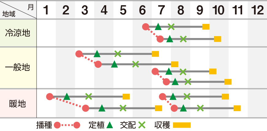 妃春秋系